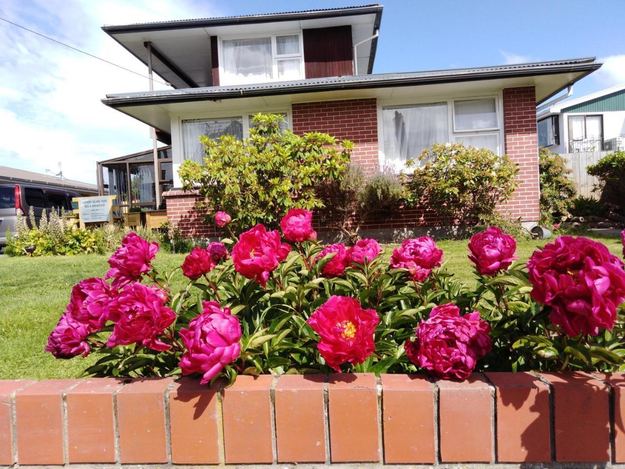 Airport Silver Fern Accommodation Christchurch Exterior photo